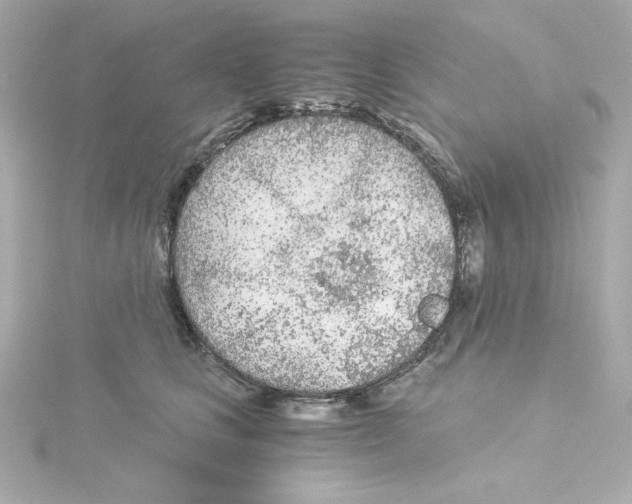 X0000115260661200911271927