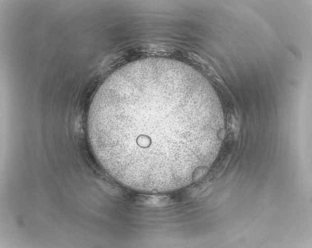 X0000115260663200911271927