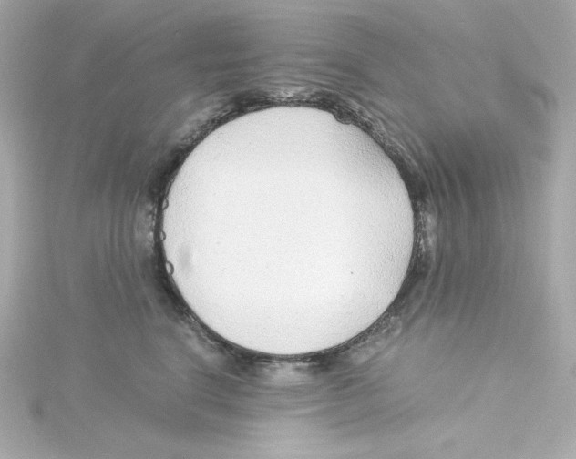 X0000115260664200911271927