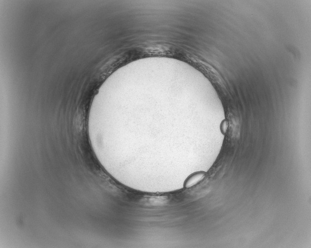 X0000115260665200911271927