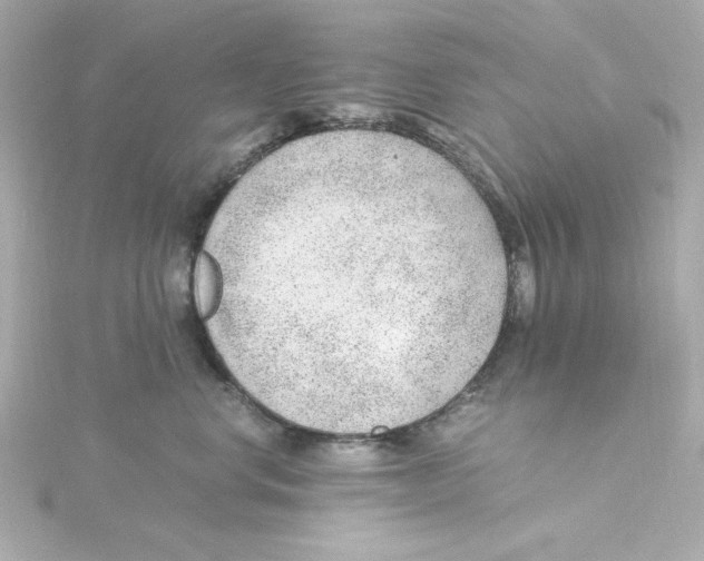 X0000115260668200911271927