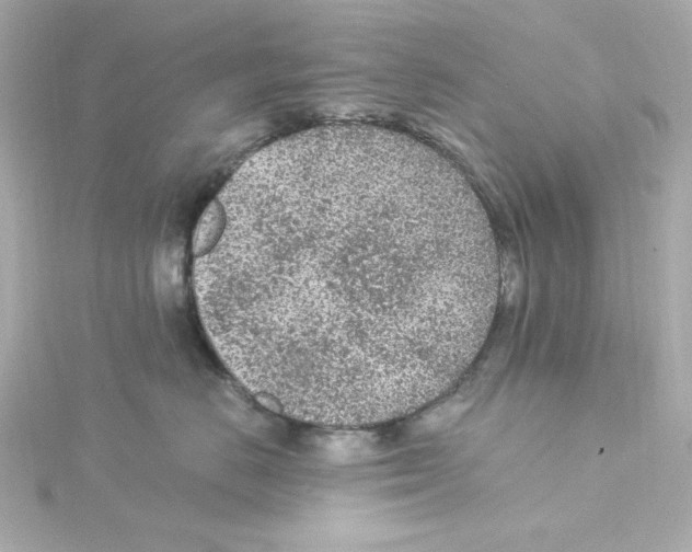 X0000115260670200911271927