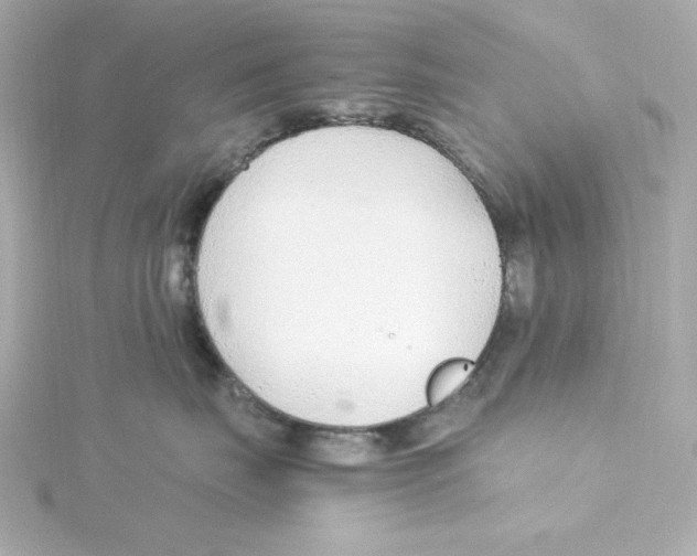 X0000115260671200911271927