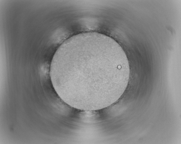 X0000115260672200911271927