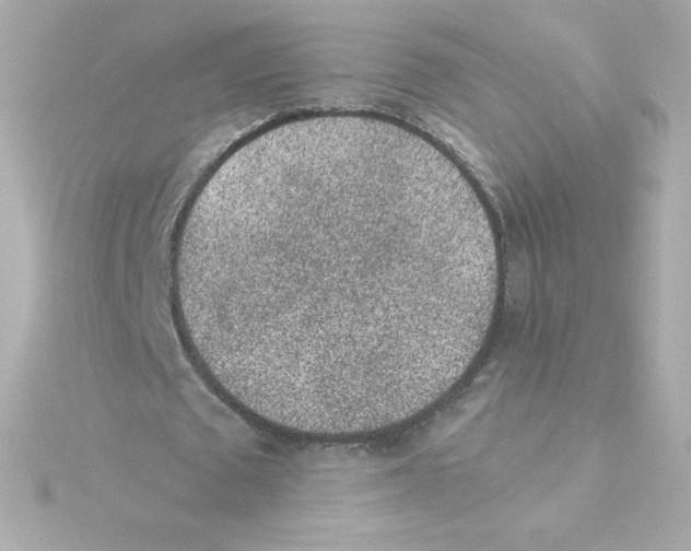 X0000115260673200911271926