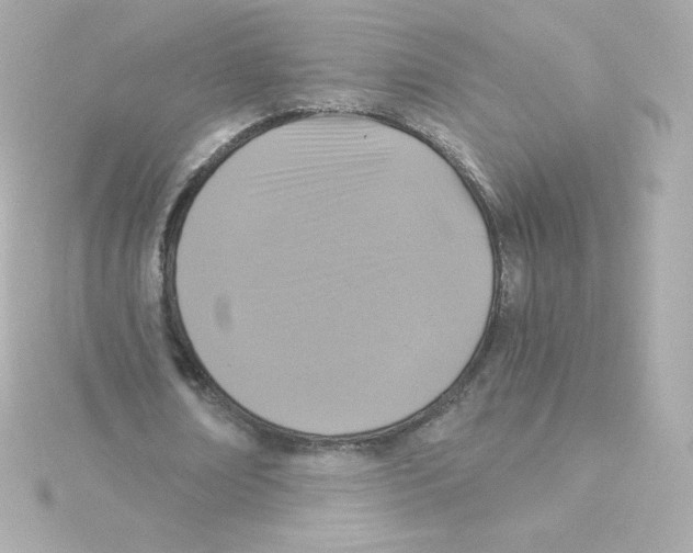 X0000115260674200911271926