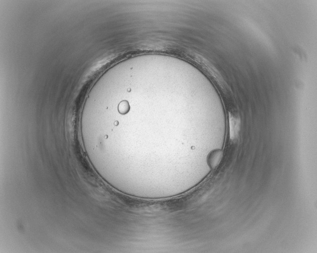 X0000115260675200911271926