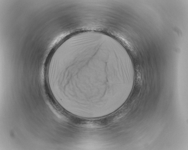 X0000115260678200911271926