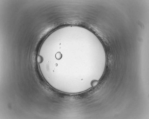 X0000115260679200911271926