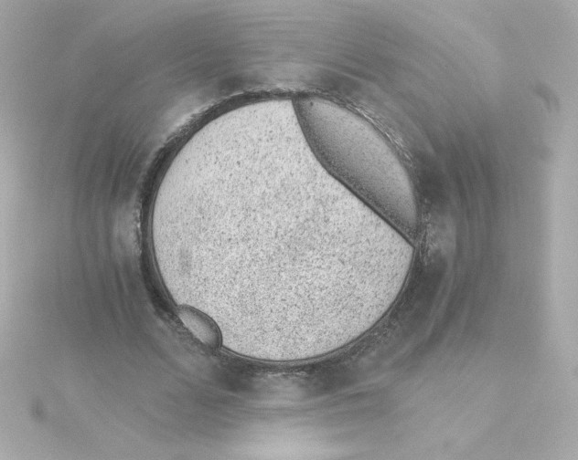 X0000115260680200911271926