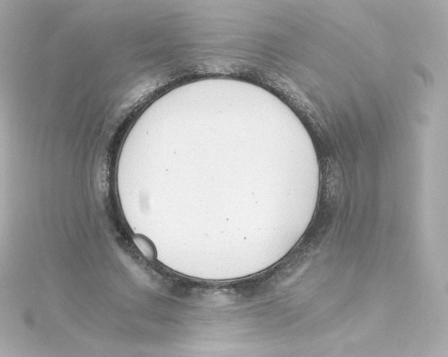 X0000115260683200911271926