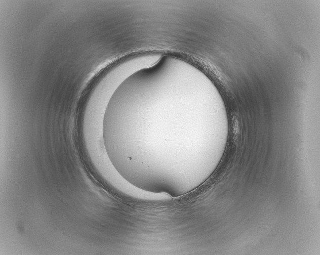 X0000115260684200911271926