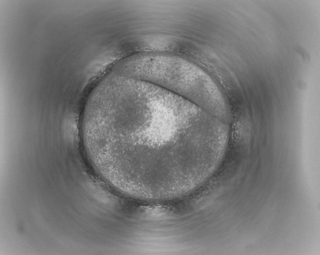 X0000115260688200911271926