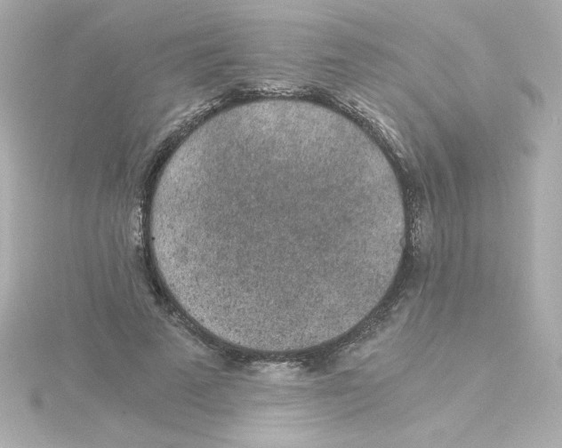 X0000115260689200911271926