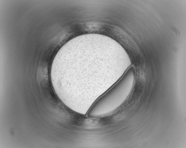 X0000115260700200911271926