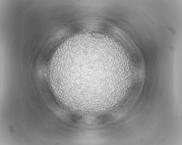 X0000115260701200911271926