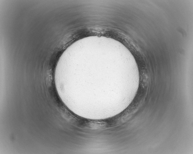 X0000115260707200911271926