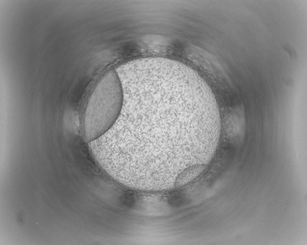 X0000115260709200911271926