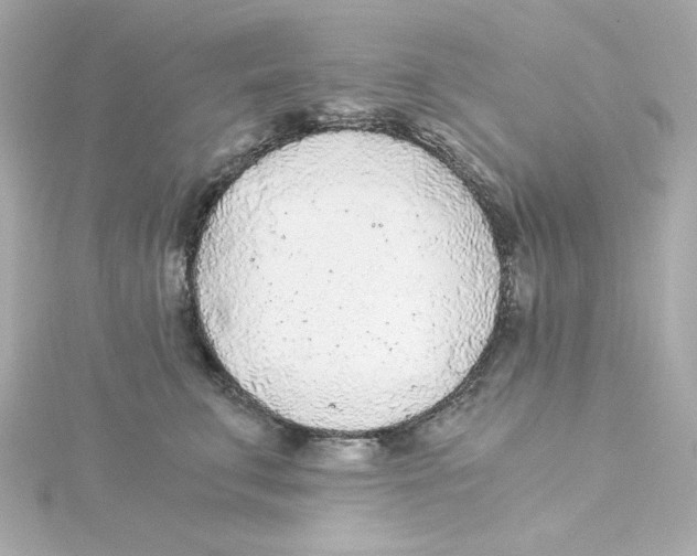 X0000115260711200911271926