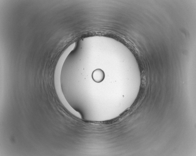 X0000115260713200911271926