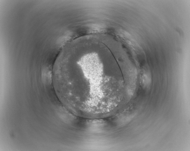 X0000115260716200911271926