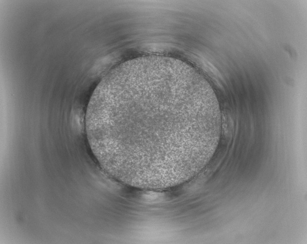 X0000115260718200911271925