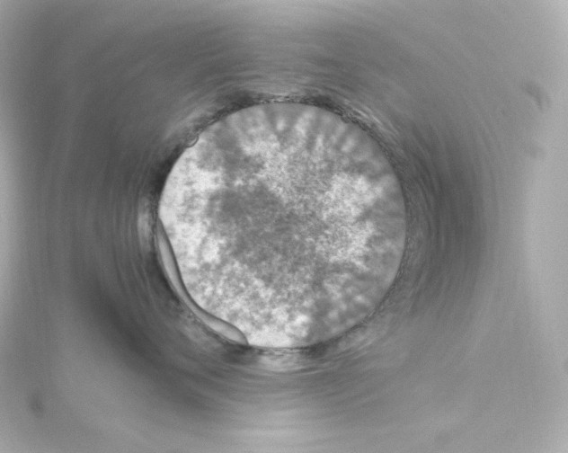 X0000115260720200911271925