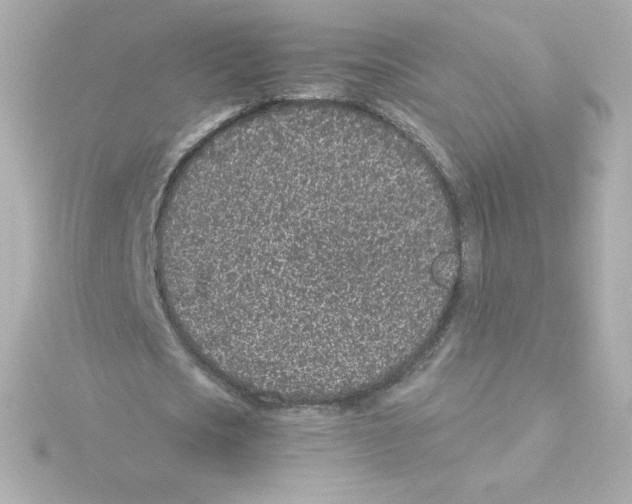 X0000115260721200911271925