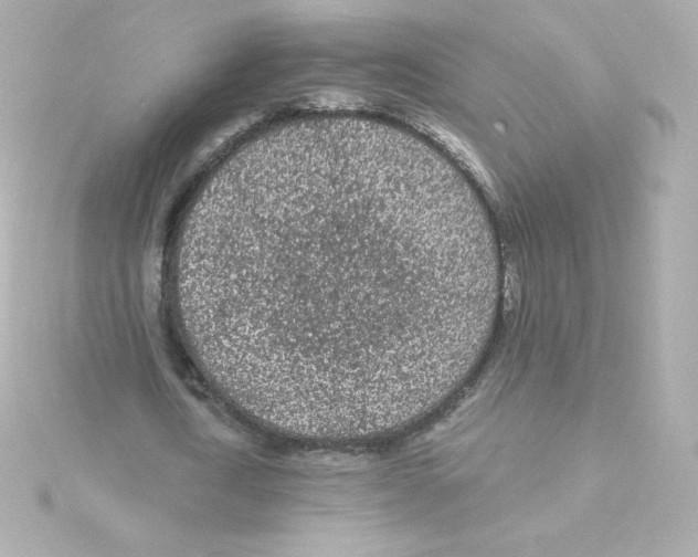 X0000115260722200911271925