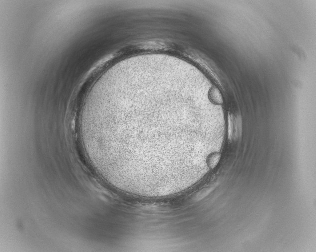 X0000115260723200911271925