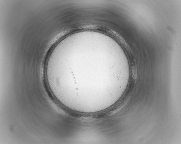 X0000115260725200911271925