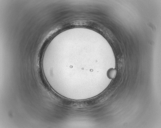 X0000115260727200911271925