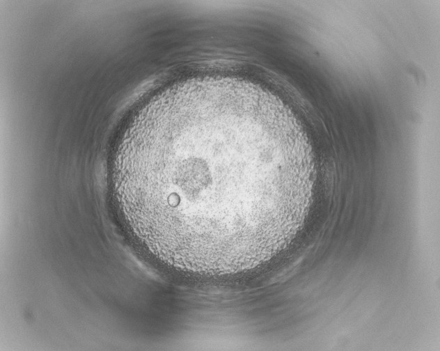 X0000115260729200911271925