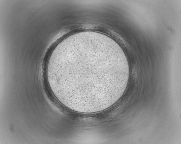 X0000115260730200911271925