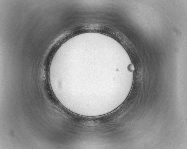 X0000115260731200911271925