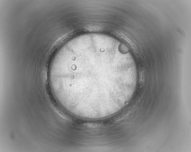 X0000115260733200911271925