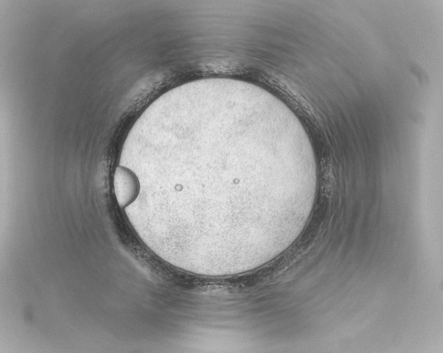 X0000115260738200911271925