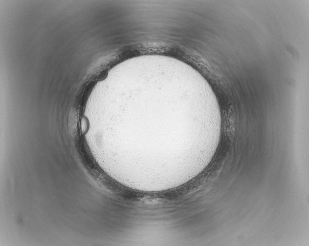 X0000115260742200911271925