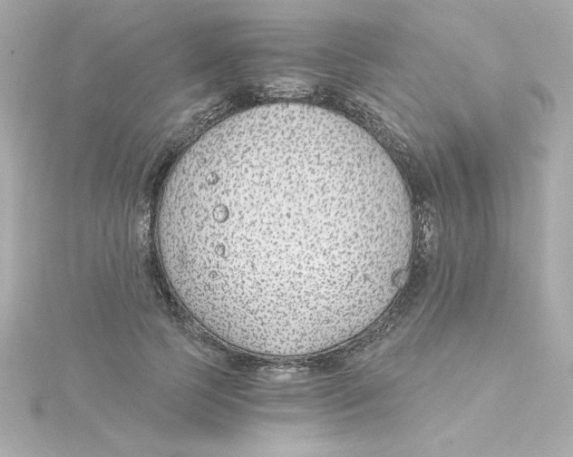 X0000115260745200911271925