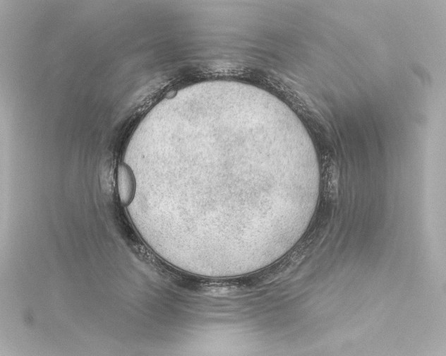 X0000115260746200911271925