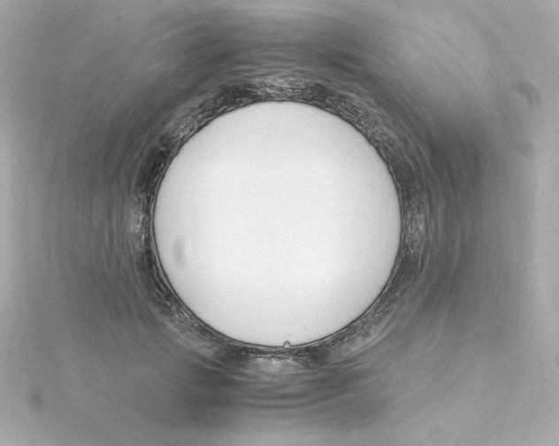 X0000115260749200911271925