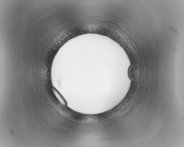 X0000115260750200911271925