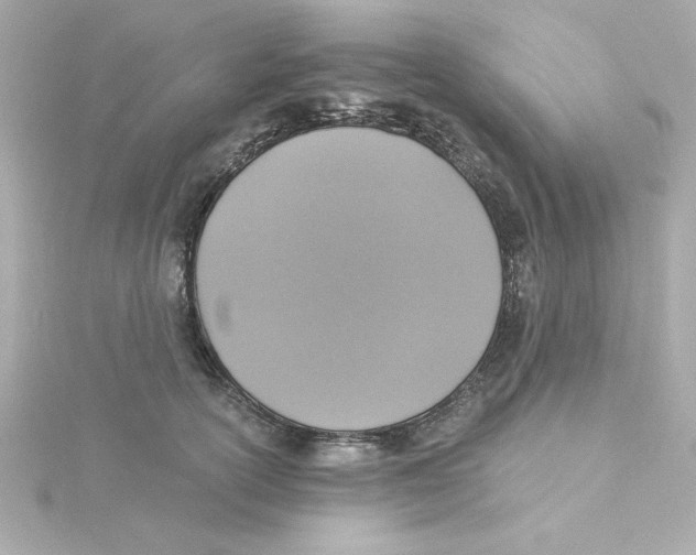 X0000115260754200911271925