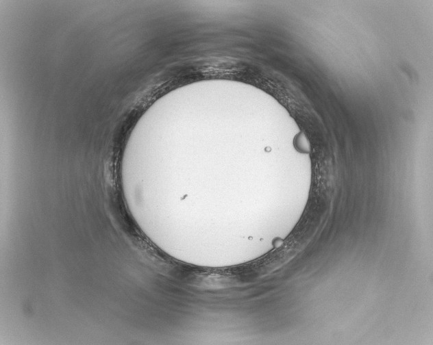 X0000115260755200911271925