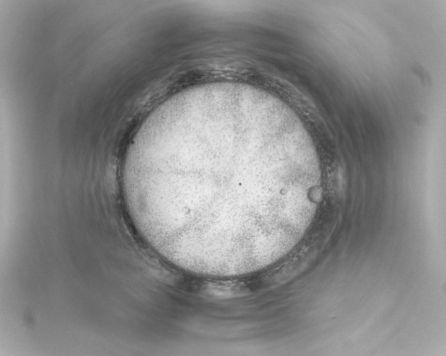 X0000115260757200911271925