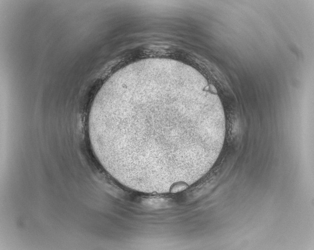 X0000115260759200911271925