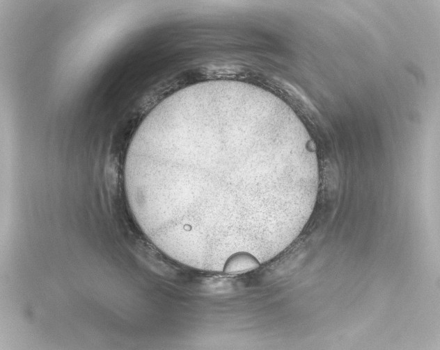 X0000115260761200911271925