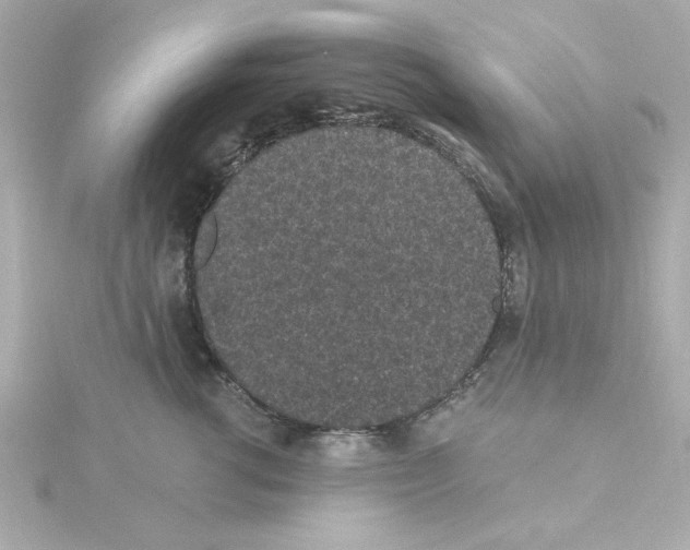 X0000115260762200911271925