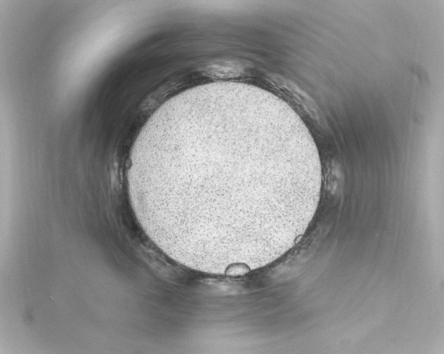 X0000115260763200911271925