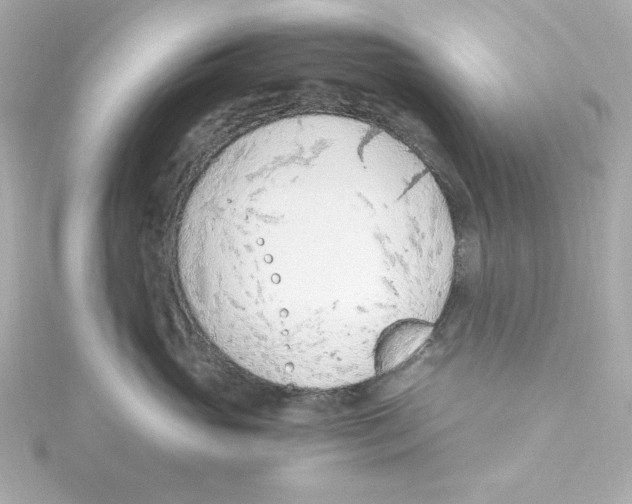 X0000115260765200911271925